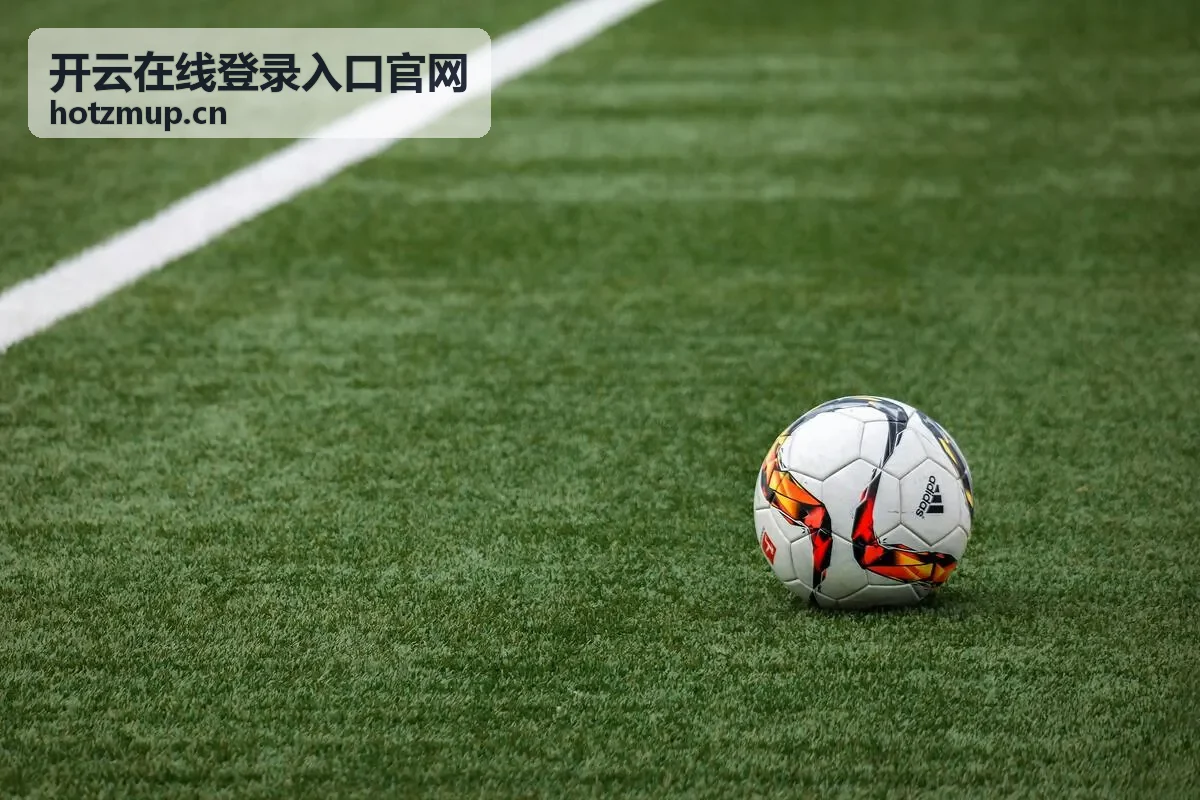 开云在线登录入口官网文章配图与会议现场画面